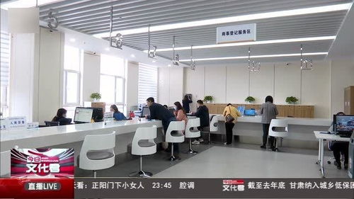 構(gòu)建藥品互聯(lián)網(wǎng)信息服務(wù)與監(jiān)管政務(wù)服務(wù)新模式